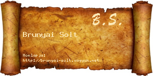 Brunyai Solt névjegykártya